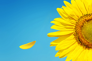 抖圈(中国区)人生就是搏!