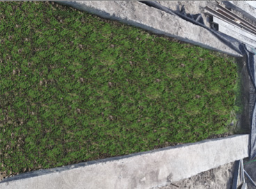 抖圈(中国区)人生就是搏!