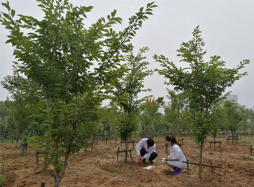 抖圈(中国区)人生就是搏!