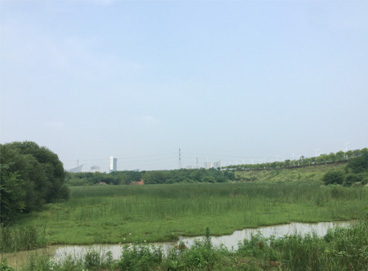 抖圈(中国区)人生就是搏!