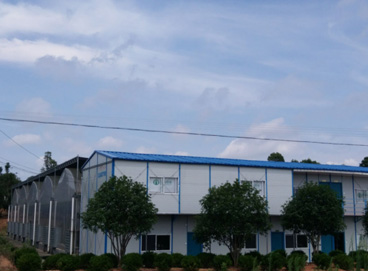 抖圈(中国区)人生就是搏!