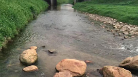 抖圈(中国区)人生就是搏!