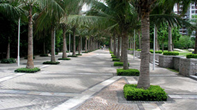 抖圈(中国区)人生就是搏!