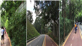 抖圈(中国区)人生就是搏!