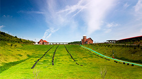 抖圈(中国区)人生就是搏!