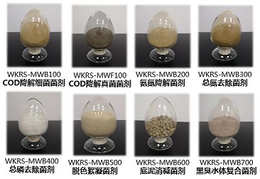 抖圈(中国区)人生就是搏!