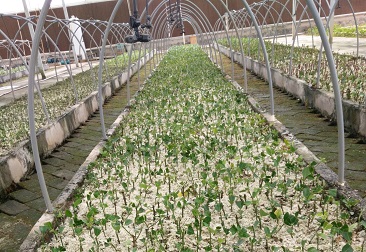 抖圈(中国区)人生就是搏!