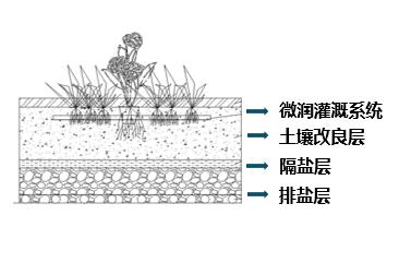 抖圈(中国区)人生就是搏!