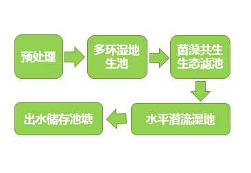 抖圈(中国区)人生就是搏!