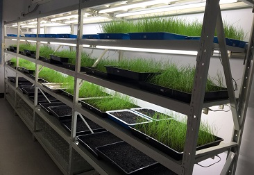 抖圈(中国区)人生就是搏!