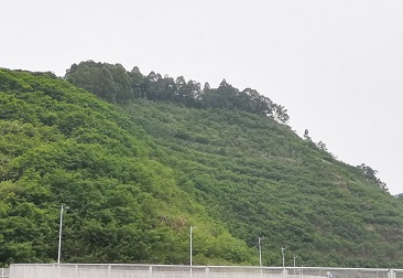 抖圈(中国区)人生就是搏!