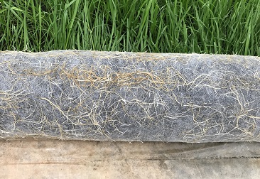 抖圈(中国区)人生就是搏!