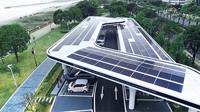 抖圈(中国区)人生就是搏!